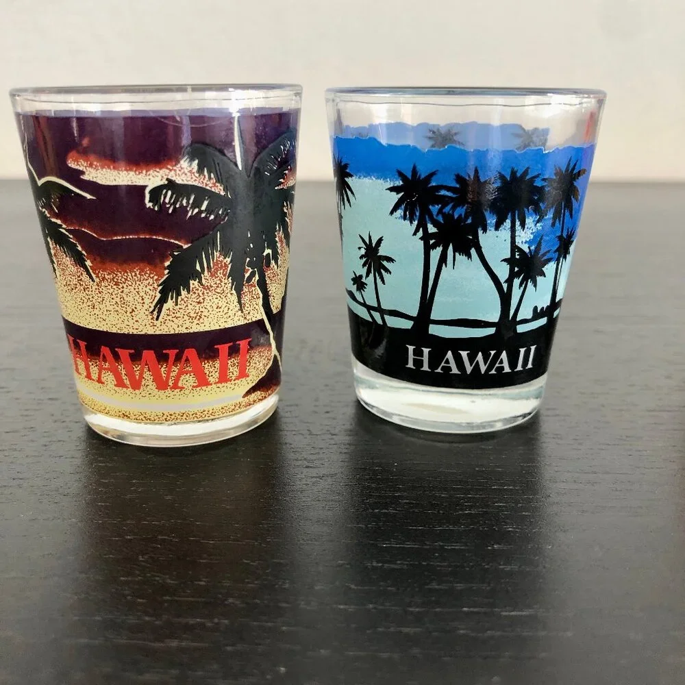 Set of 4 Shot Glasses from HAWAII